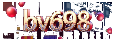bv698 logo